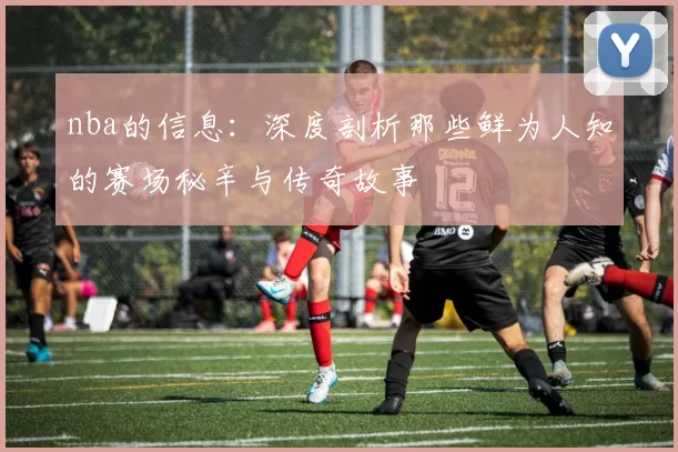 nba的信息：深度剖析那些鲜为人知的赛场秘辛与传奇故事