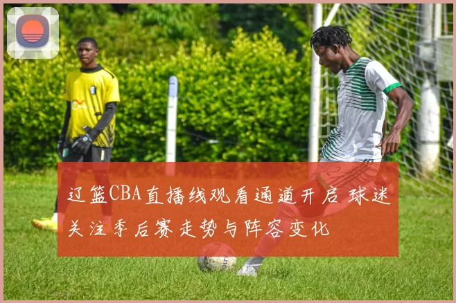 辽篮CBA直播线观看通道开启 球迷关注季后赛走势与阵容变化