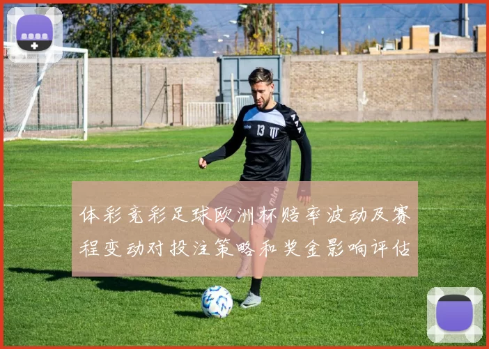 体彩竞彩足球欧洲杯赔率波动及赛程变动对投注策略和奖金影响评估